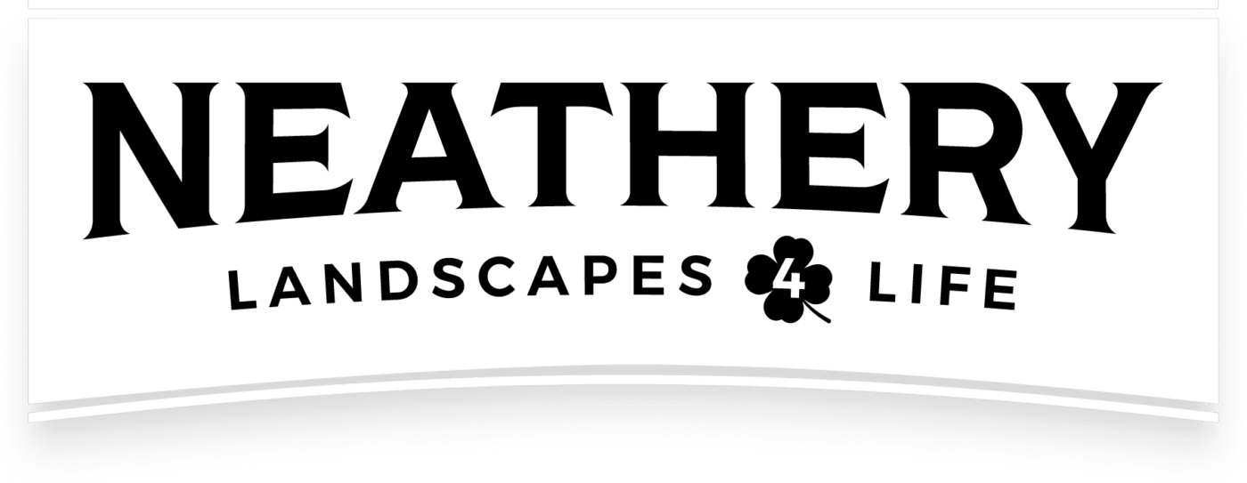 Neathery Landscape