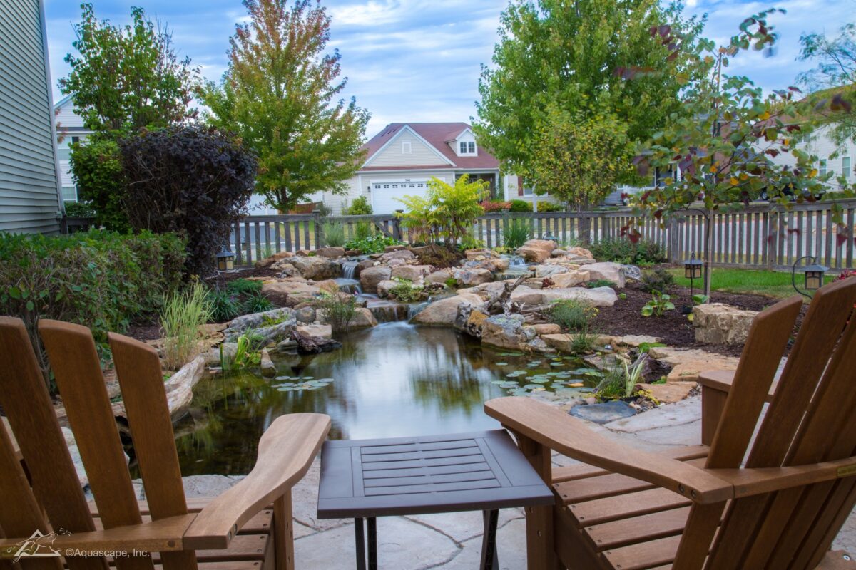 A view of a koi pond