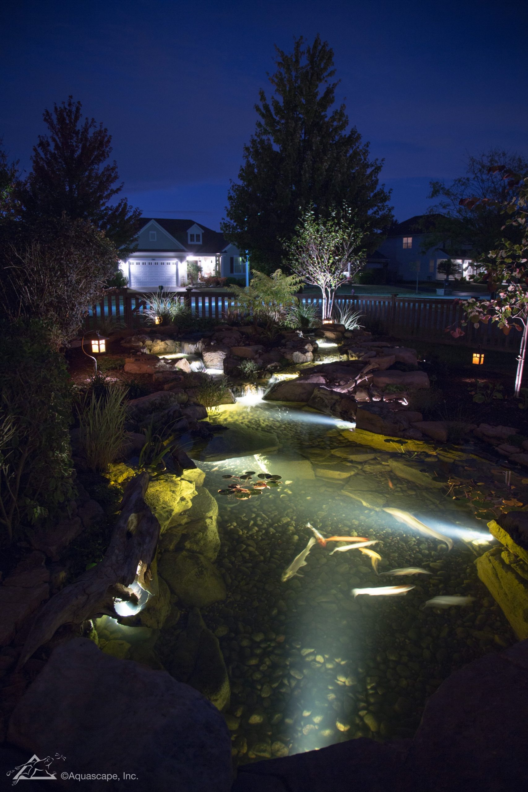 Koi Pond at Night